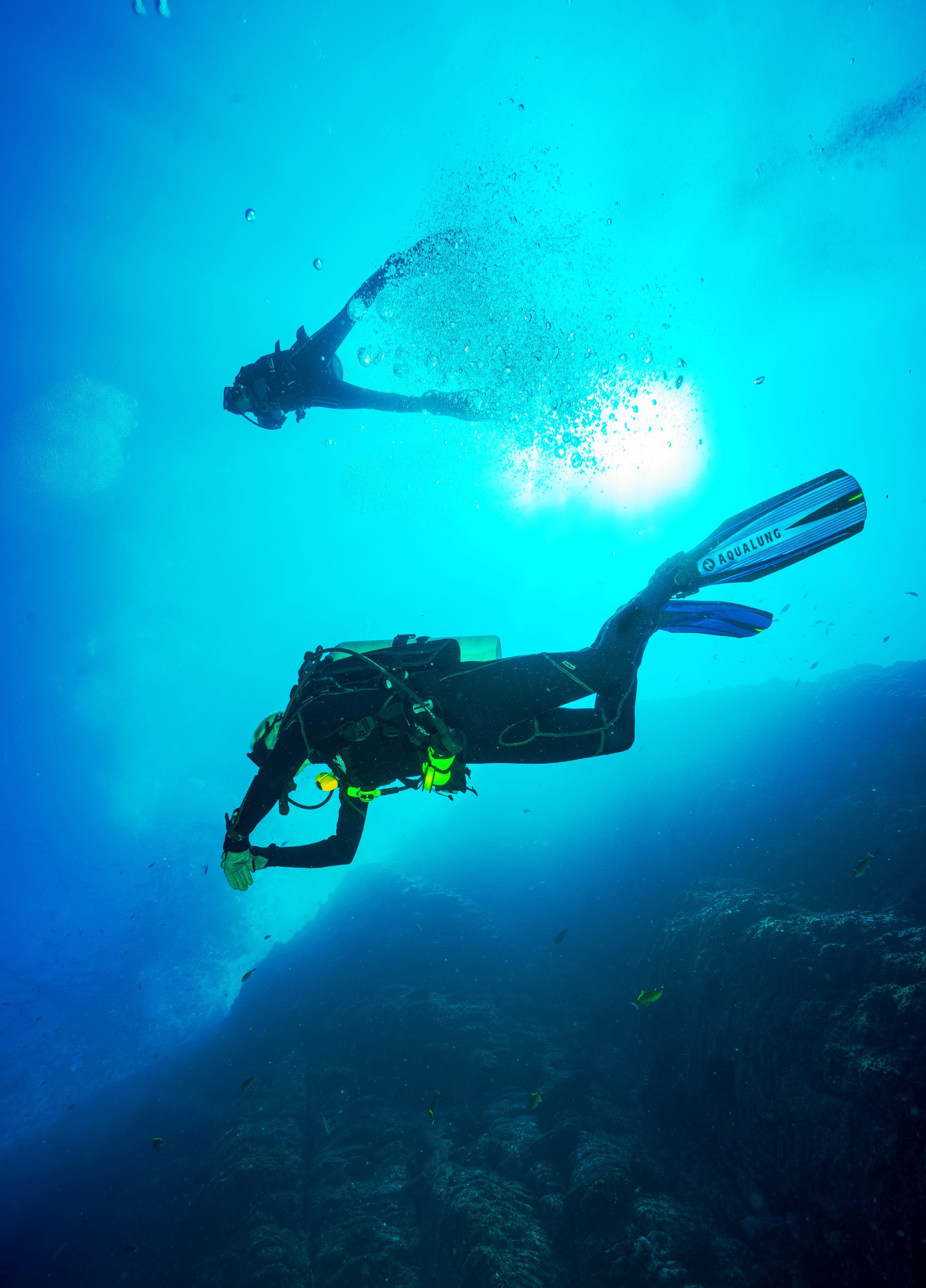 diving scaled 1