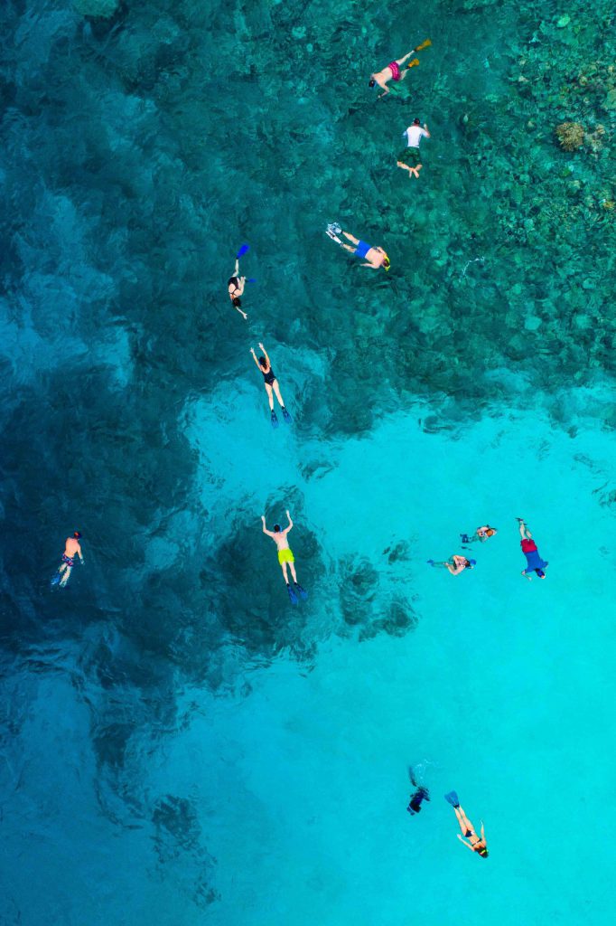 snorkeling scaled 1