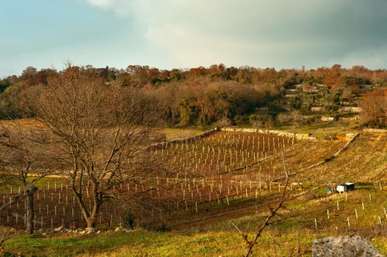 Alberobello 20 768x511 1